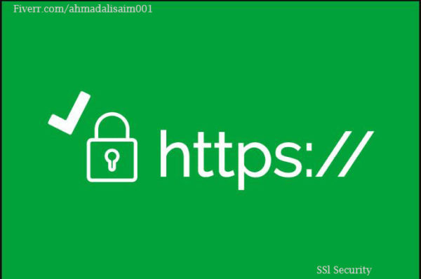 Secure Your Wordpress Website With Ssl And Https